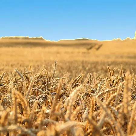 Semi-detached Hyggelig,