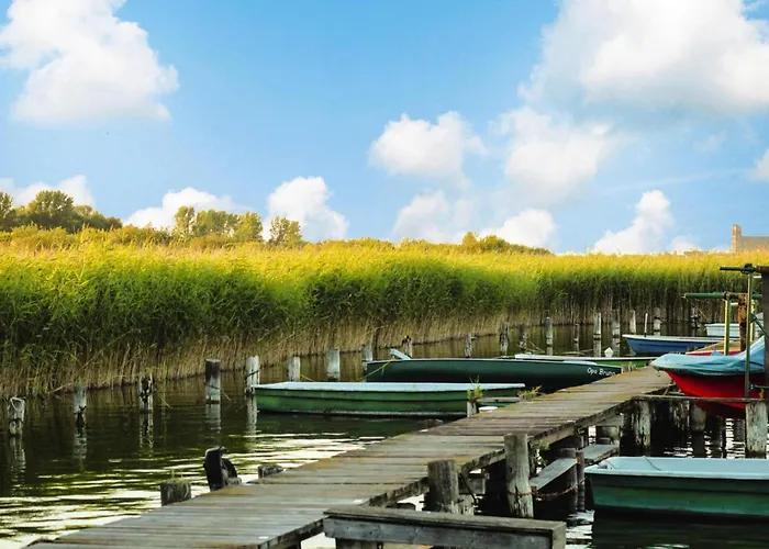 Doppelhaushaelfte In Am Oberuckersee Casa de Férias *