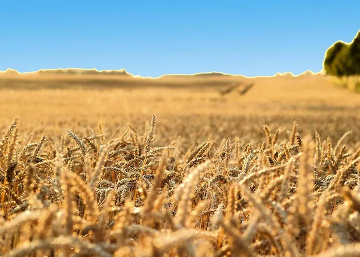 Doppelhaushaelfte In Am Oberuckersee Feriehus Seehausen (Uckermark)