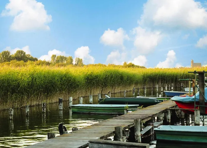 Сasa de vacaciones Doppelhaushaelfte In Am Oberuckersee Seehausen (Uckermark)