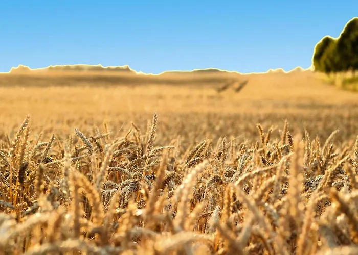 Doppelhaushaelfte In Am Oberuckersee